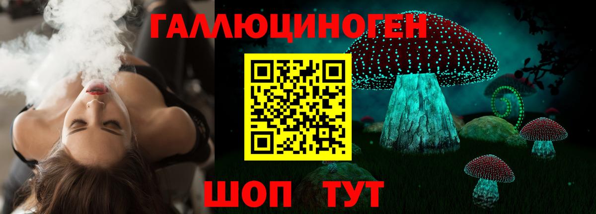 Галлюциногенные грибы Psilocybe Алейск
